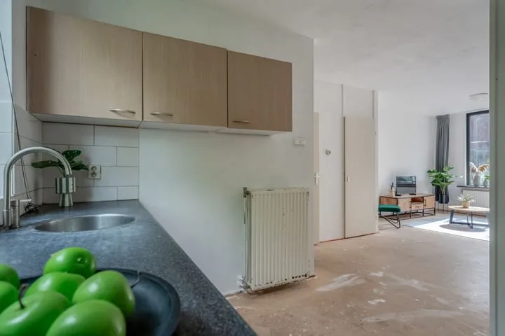 Marjoleinstraat 44 Groningen thumbnail 18