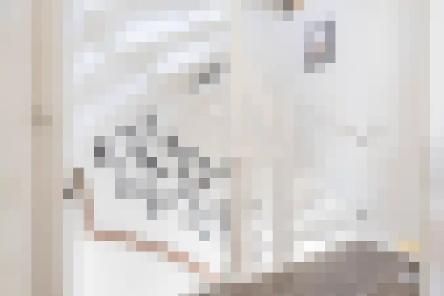 Marjoleinstraat 69 Groningen thumbnail 17