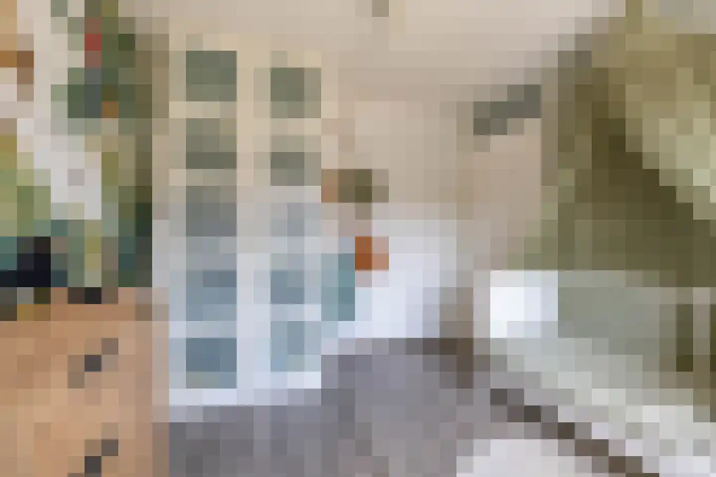 Marjoleinstraat 69 Groningen thumbnail 21