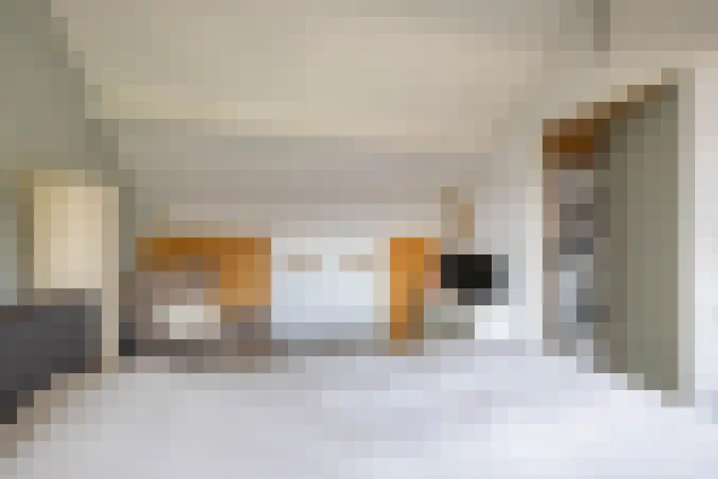 Marjoleinstraat 69 Groningen thumbnail 30