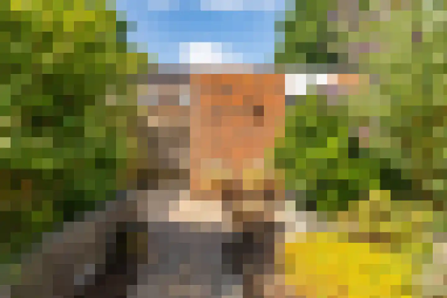 Marjoleinstraat 69 Groningen thumbnail 33