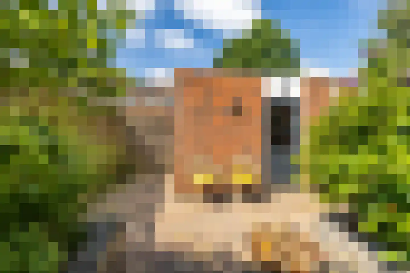 Marjoleinstraat 69 Groningen thumbnail 34