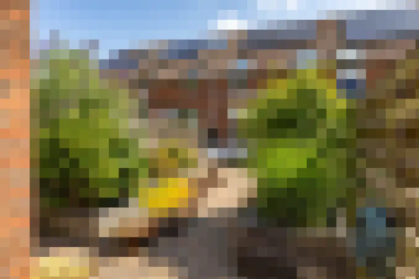 Marjoleinstraat 69 Groningen thumbnail 36