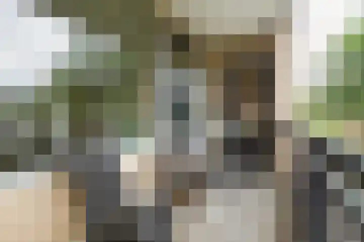 Marjoleinstraat 83 Amsterdam thumbnail 13