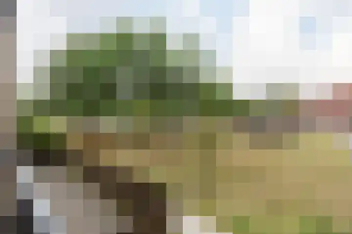 Marjoleinstraat 83 Amsterdam thumbnail 14