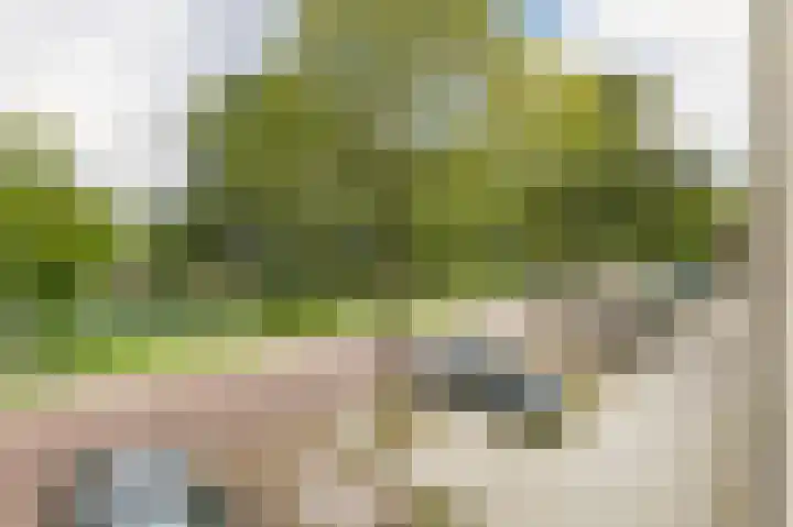 Marjoleinstraat 83 Amsterdam thumbnail 22