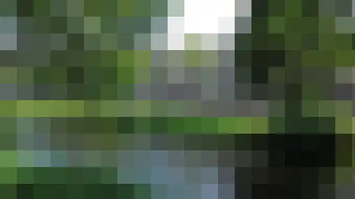 Marjoleinstraat 83 Amsterdam thumbnail 27