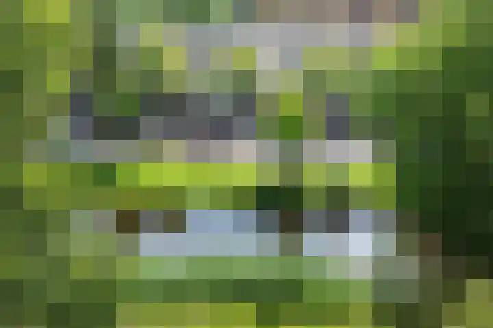 Marjoleinstraat 83 Amsterdam thumbnail 28