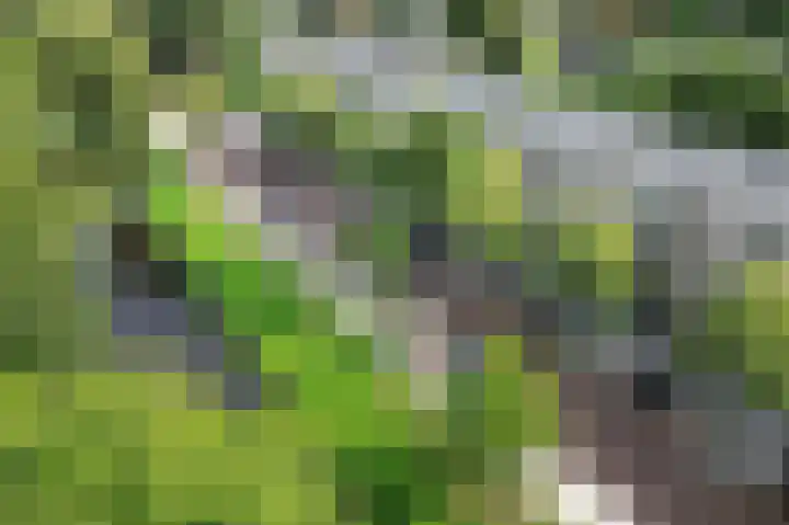 Marjoleinstraat 83 Amsterdam thumbnail 29