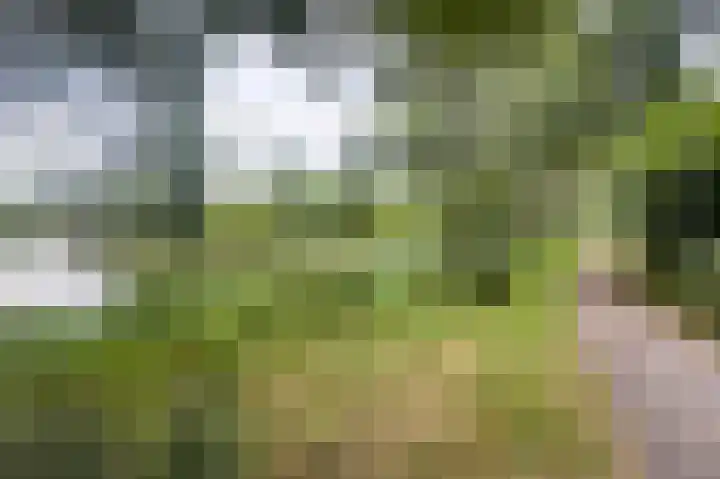 Marjoleinstraat 83 Amsterdam thumbnail 30