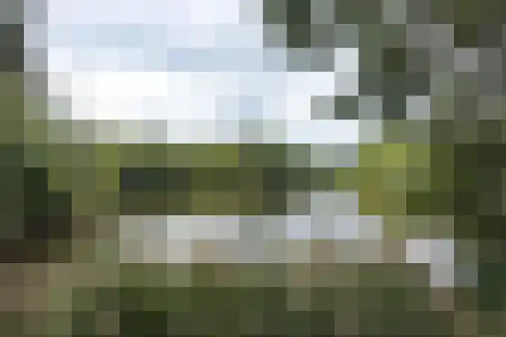 Marjoleinstraat 83 Amsterdam thumbnail 31