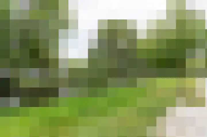 Marjoleinstraat 83 Amsterdam thumbnail 8
