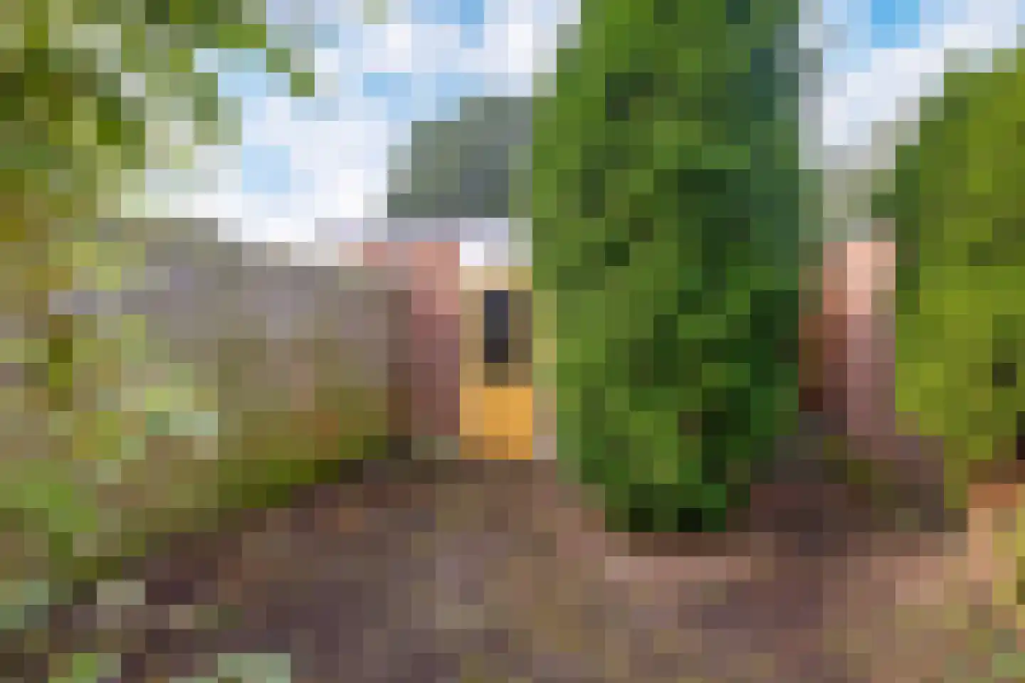 Marjoleinstraat 87 Groningen thumbnail 19