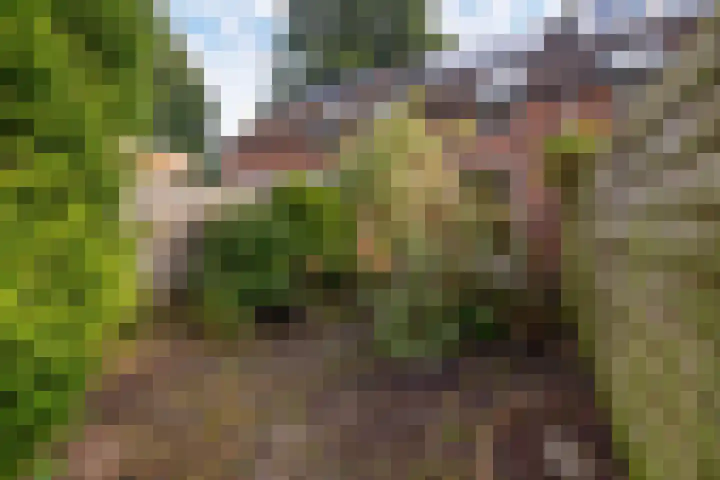 Marjoleinstraat 87 Groningen thumbnail 21