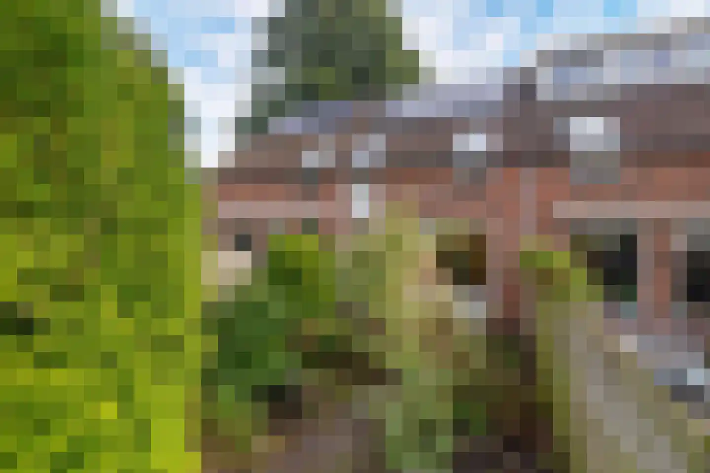 Marjoleinstraat 87 Groningen thumbnail 22