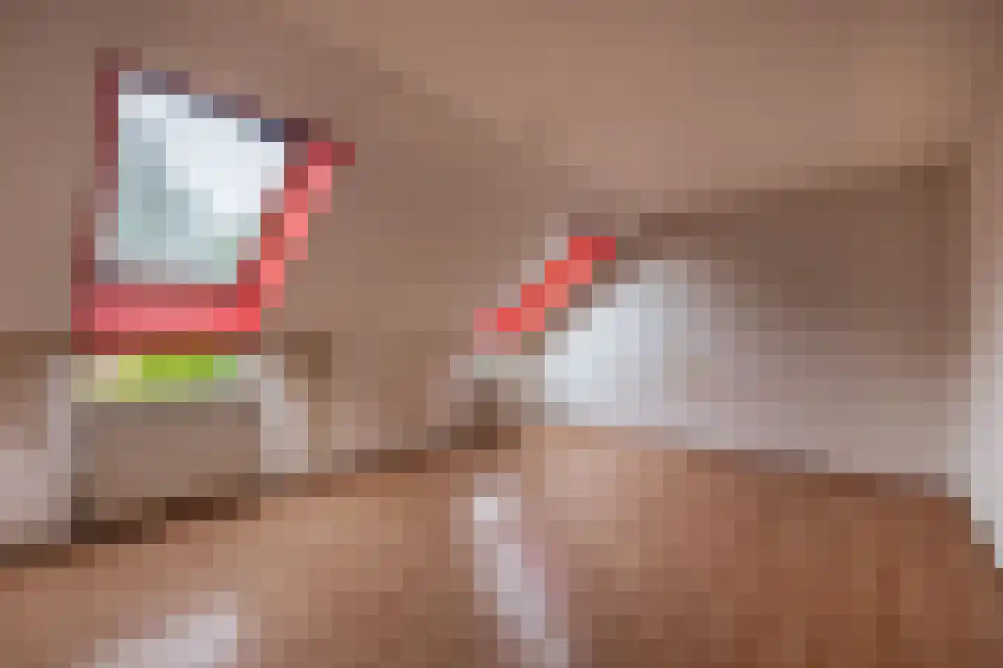 Marjoleinstraat 87 Groningen thumbnail 26