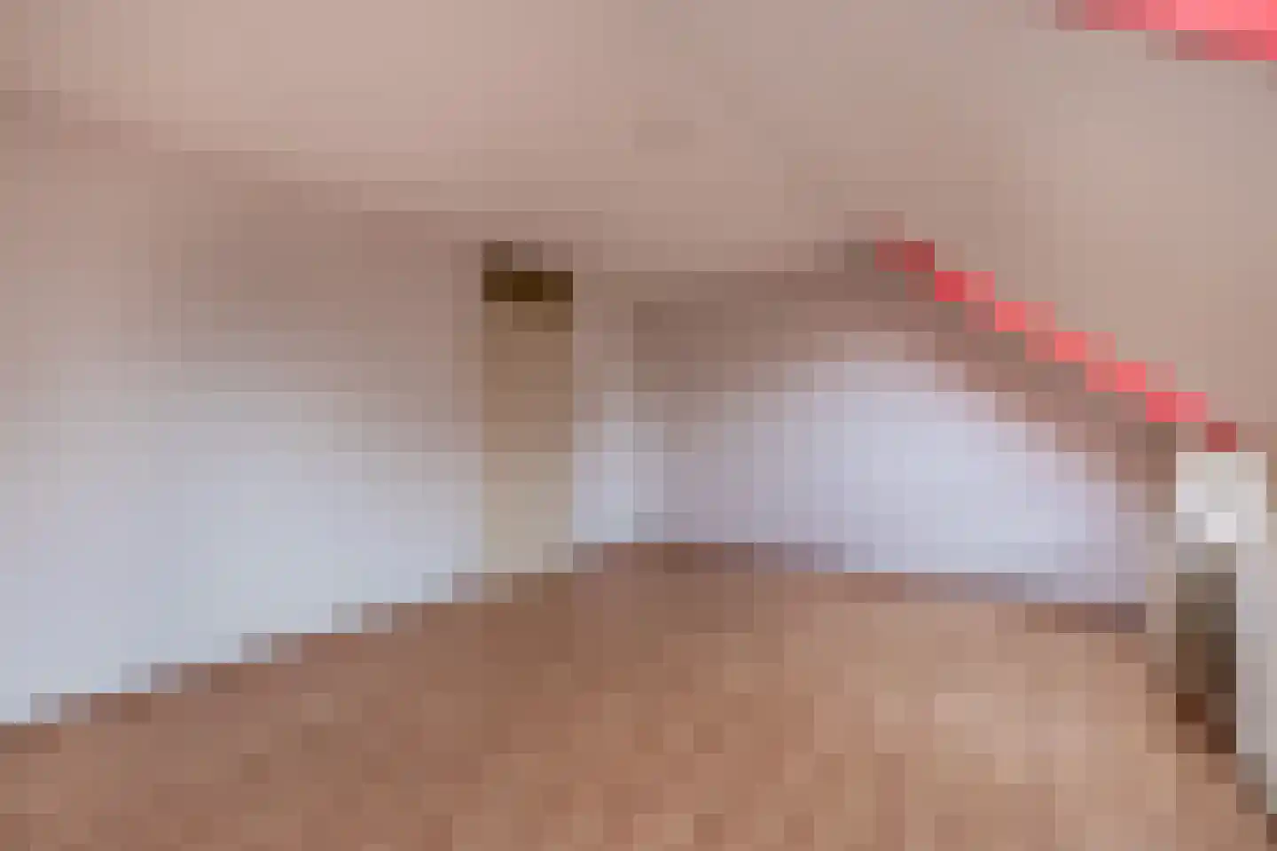 Marjoleinstraat 87 Groningen thumbnail 27