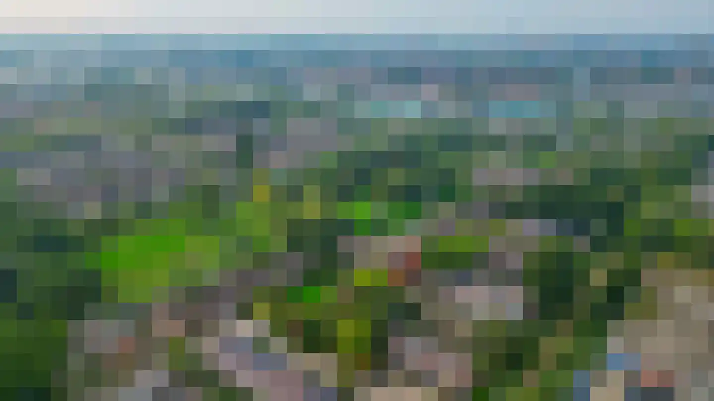 Marjoleinstraat 87 Groningen thumbnail 42