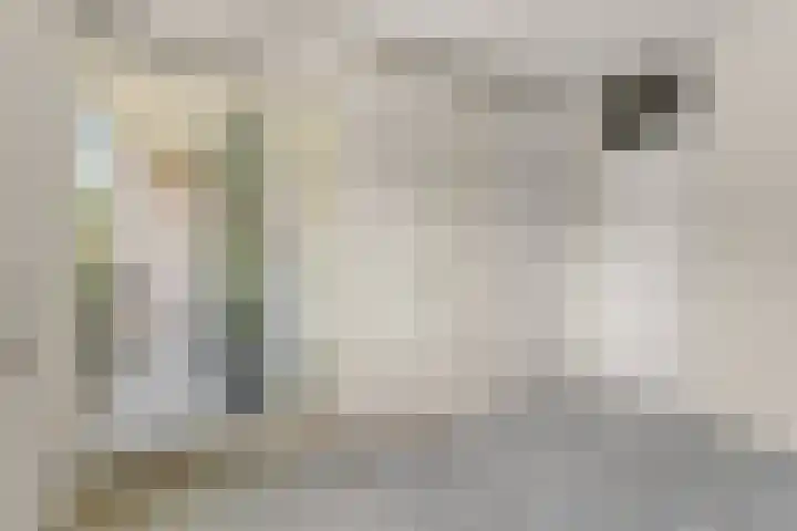 Marjoleinstraat 99 Amsterdam thumbnail 12