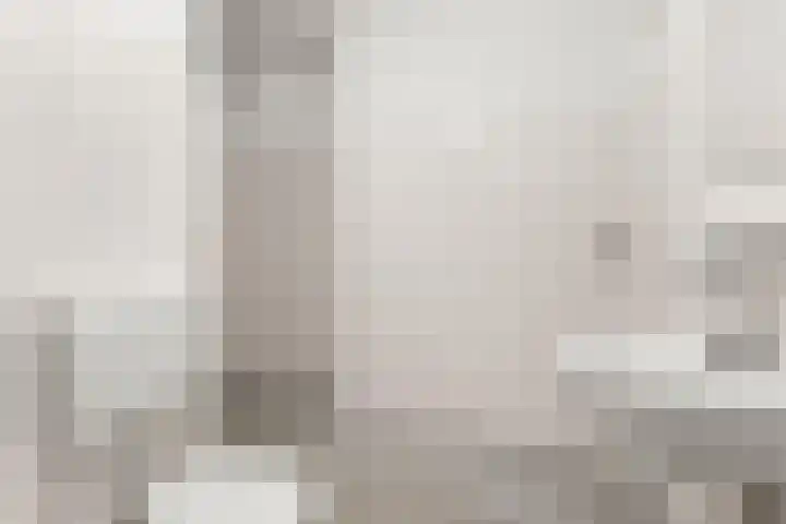 Marjoleinstraat 99 Amsterdam thumbnail 13