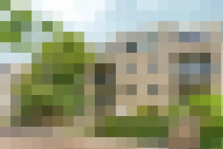 Marjoleinstraat 99 Amsterdam thumbnail 16