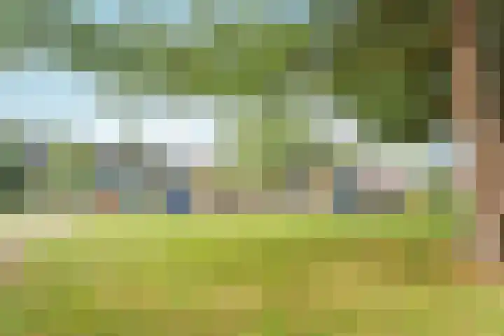 Marjoleinstraat 99 Amsterdam thumbnail 17