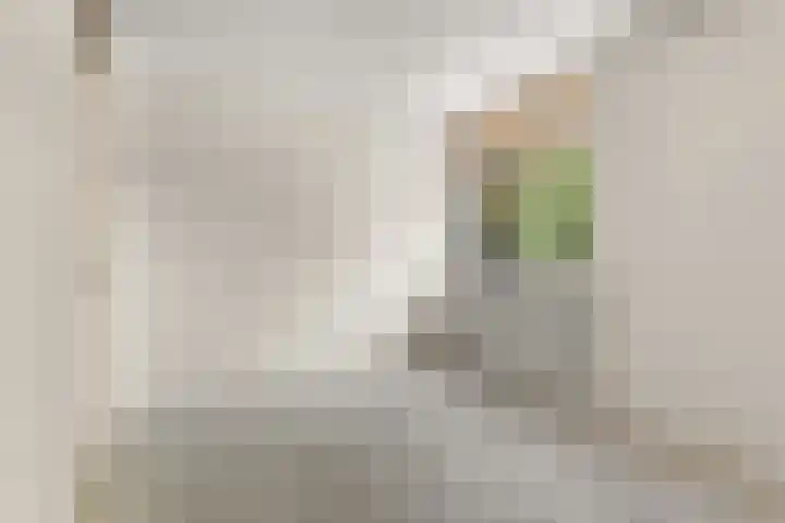 Marjoleinstraat 99 Amsterdam thumbnail 4