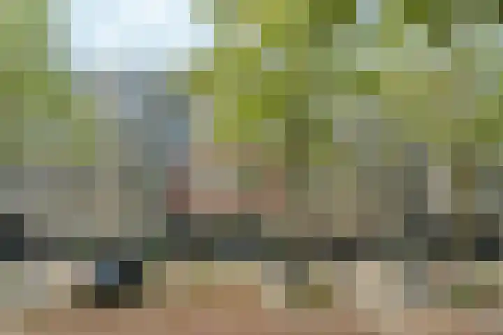 Marjoleinstraat 99 Amsterdam thumbnail 6