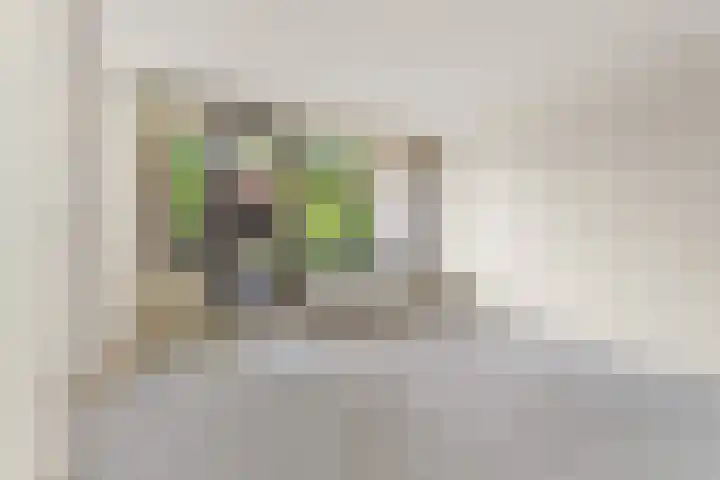 Marjoleinstraat 99 Amsterdam thumbnail 7