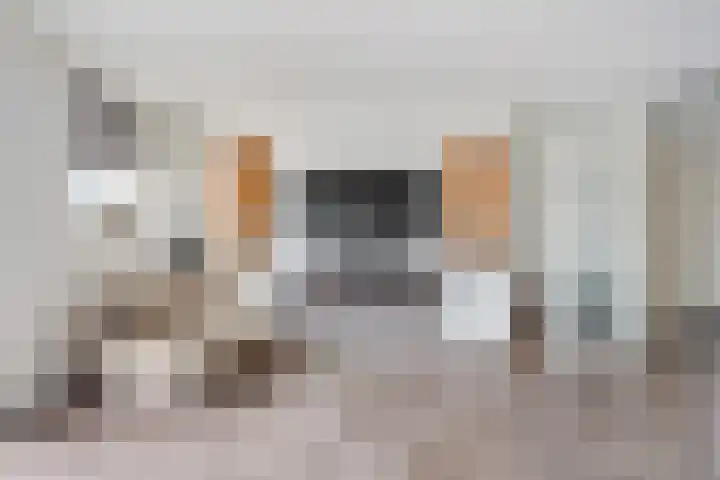 Marjoleinveld 2 Den Haag thumbnail 14