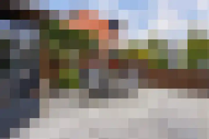 Marjoleinveld 2 Den Haag thumbnail 34