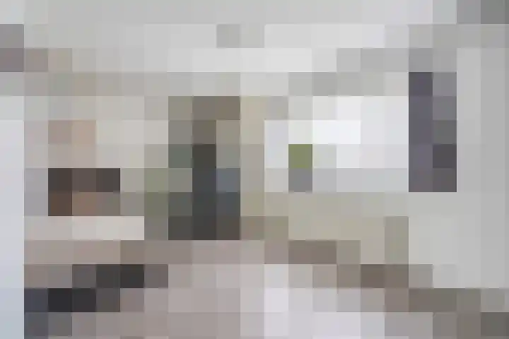 Marjoleinveld 2 Den Haag thumbnail 43