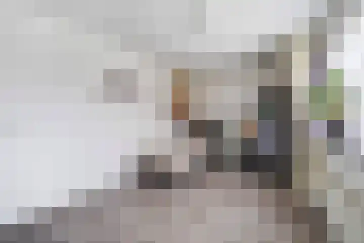 Marjoleinveld 2 Den Haag thumbnail 44