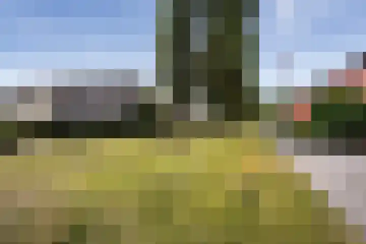 Marjoleinveld 2 Den Haag thumbnail 82
