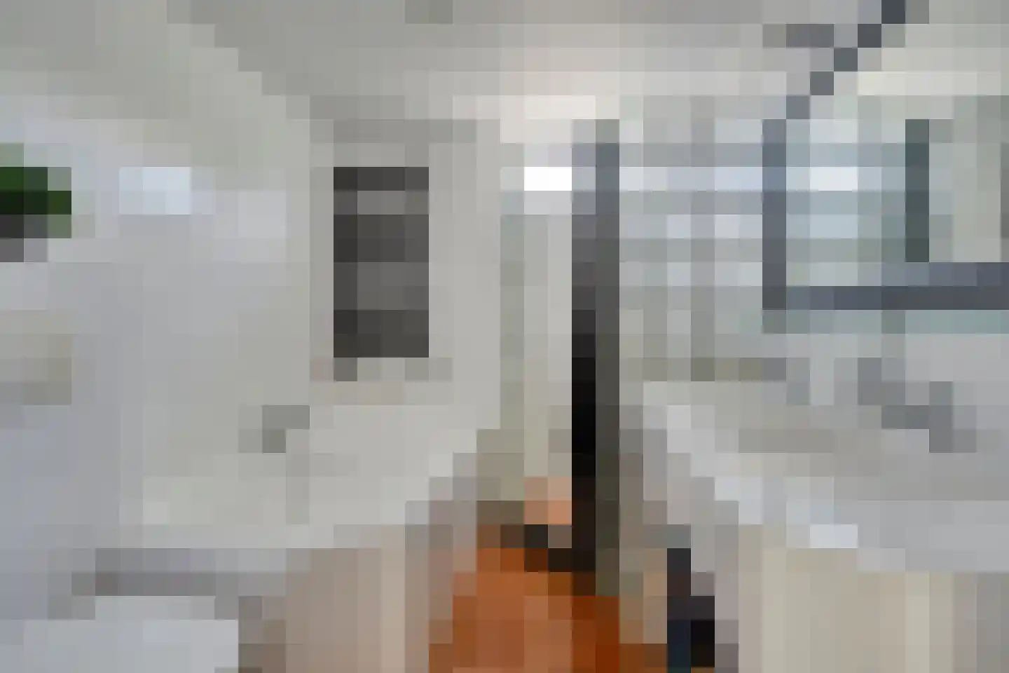 Marjoleinweg 11 Haren Gn thumbnail 26
