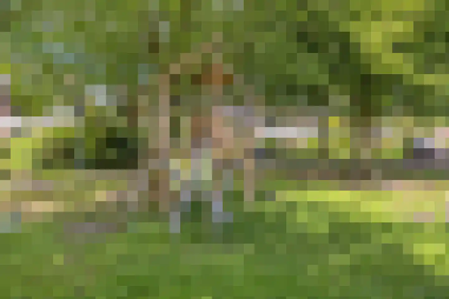 Marjoleinweg 11 Haren Gn thumbnail 41