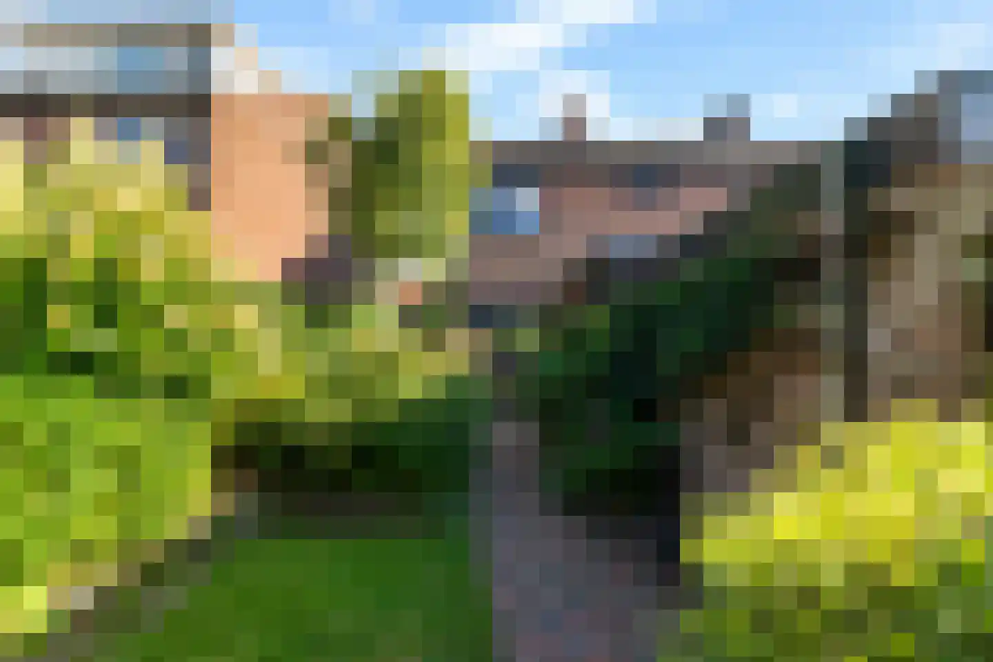 Marjoleinweg 15 Haren Gn thumbnail 5