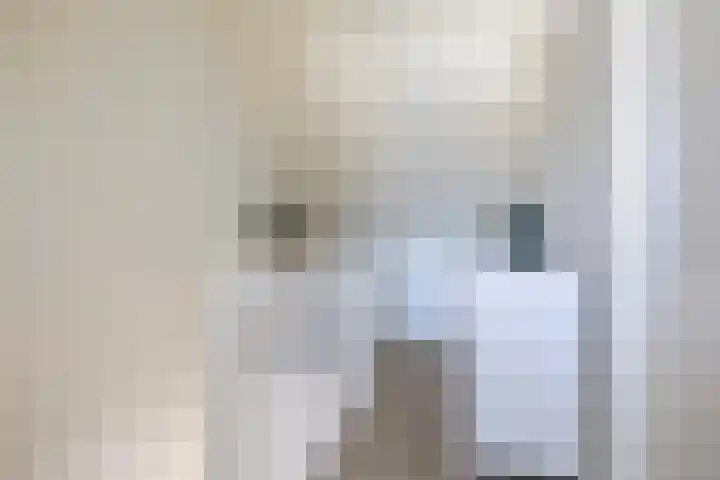 Marjoleinweg 52 Utrecht thumbnail 37
