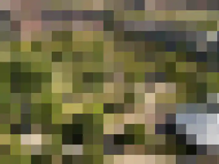 Marjoleinweg 52 Utrecht thumbnail 46