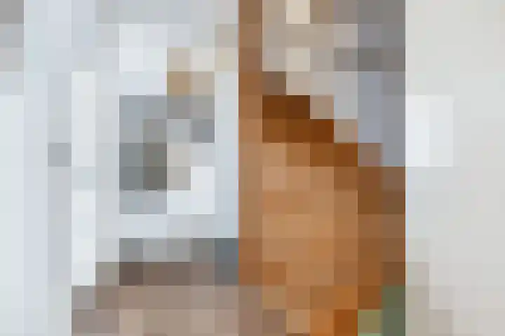 Mark 1 Emmeloord thumbnail 11