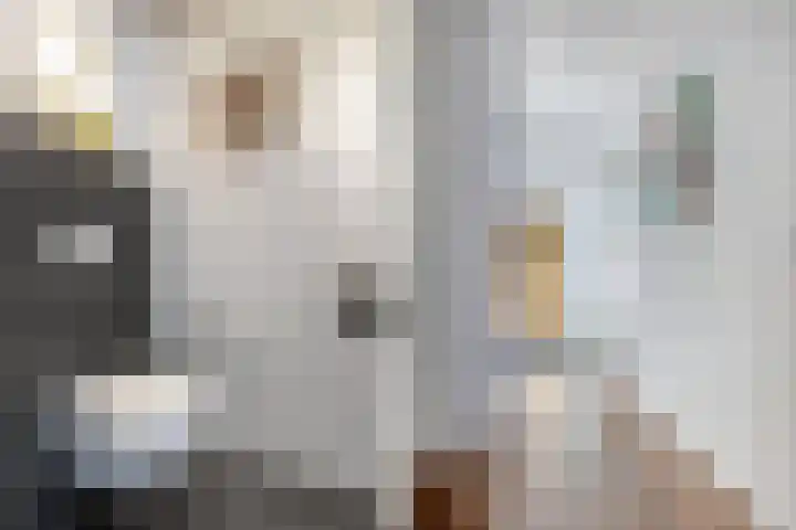 Mark 1 Emmeloord thumbnail 12
