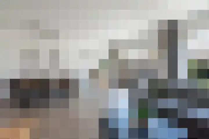 Mark 1 Emmeloord thumbnail 19