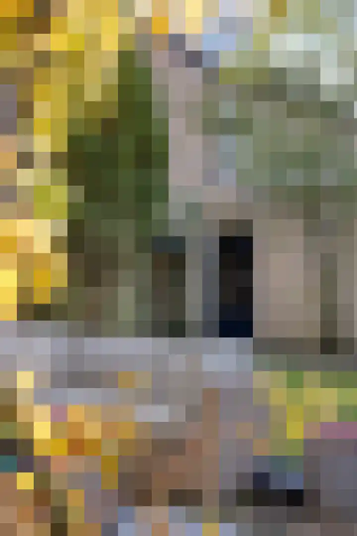 Mark 1 Tilburg thumbnail 35