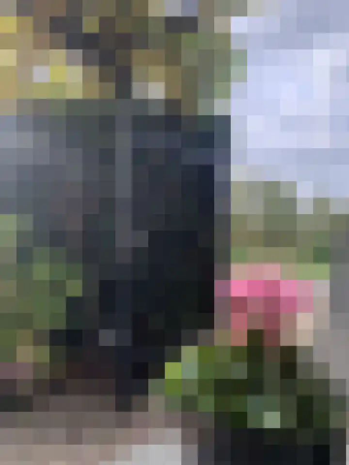 Mark 1 Tilburg thumbnail 41