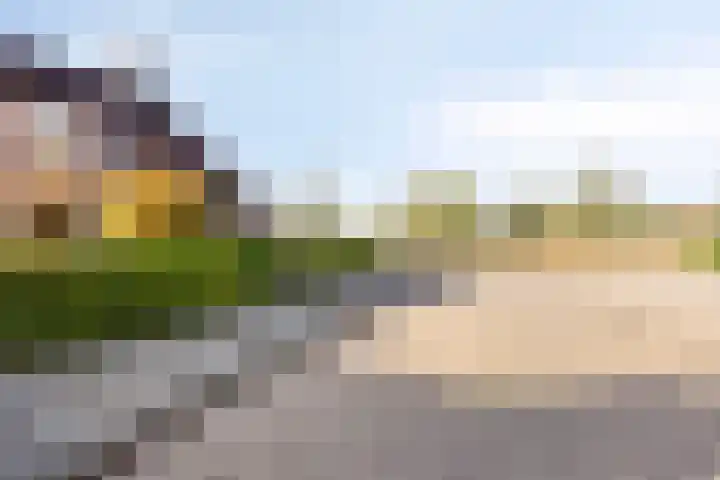 Mark 1 Tilburg thumbnail 43