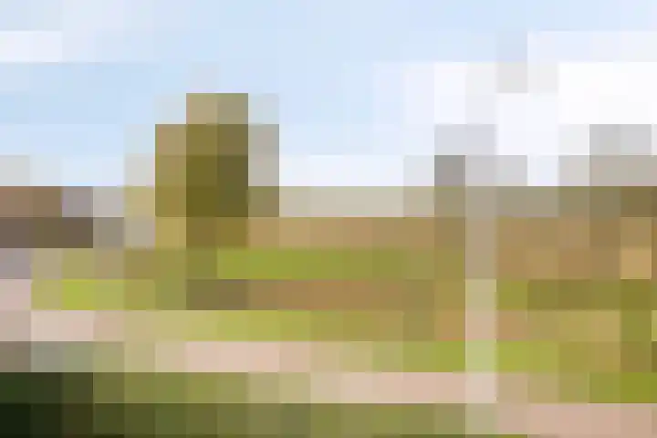 Mark 1 Tilburg thumbnail 45