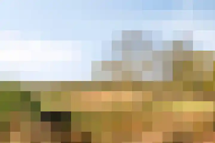 Mark 1 Tilburg thumbnail 47