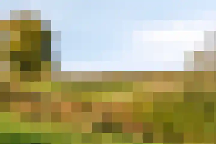 Mark 1 Tilburg thumbnail 48