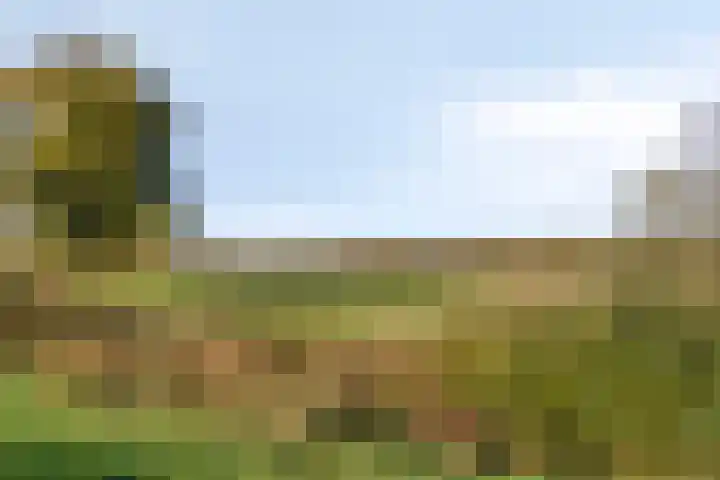 Mark 1 Tilburg thumbnail 50