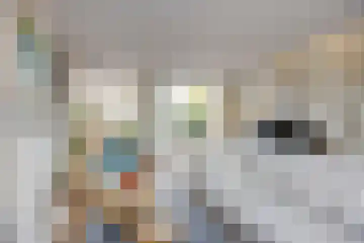 Mark 1 Tilburg thumbnail 8